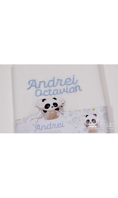 Trusou de botez cu ursuletul Panda ursul polar si baloane de aer cald Panda 19